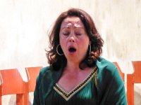 Plan4Opera 29.5.2016 287